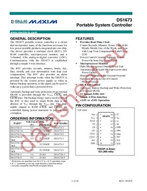 DS1673E-5/T&R datasheet  